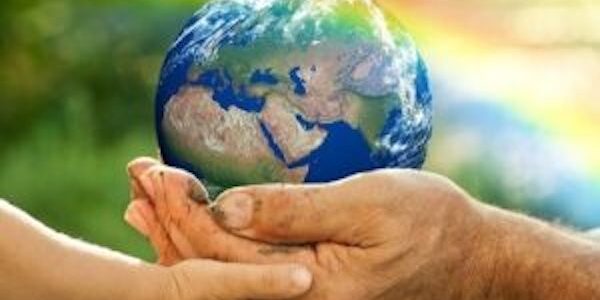 AİLE ŞİRKETLERİ OKULU